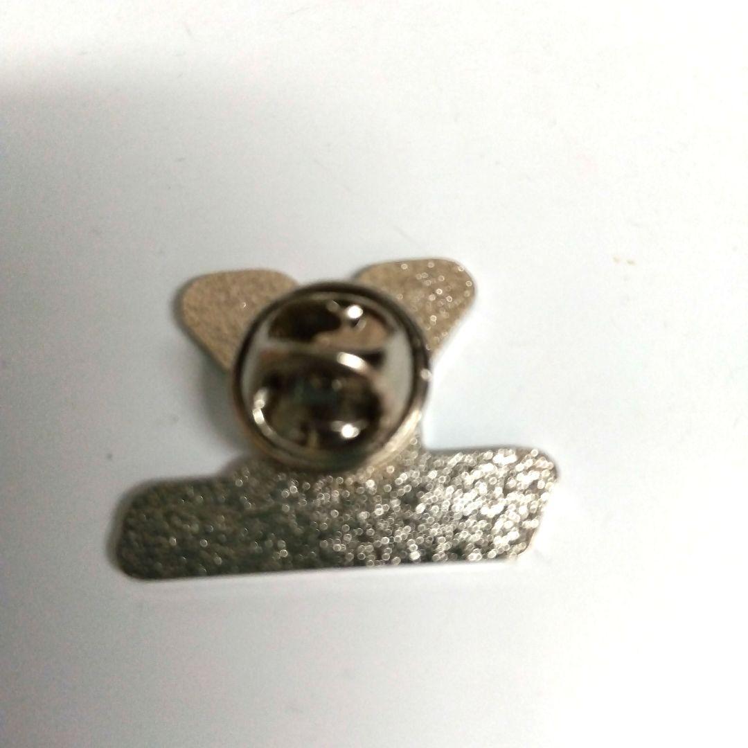 大阪関西万博　イタリア館　非売品　ピンバッチ　ピンズ　Valtellina　希少