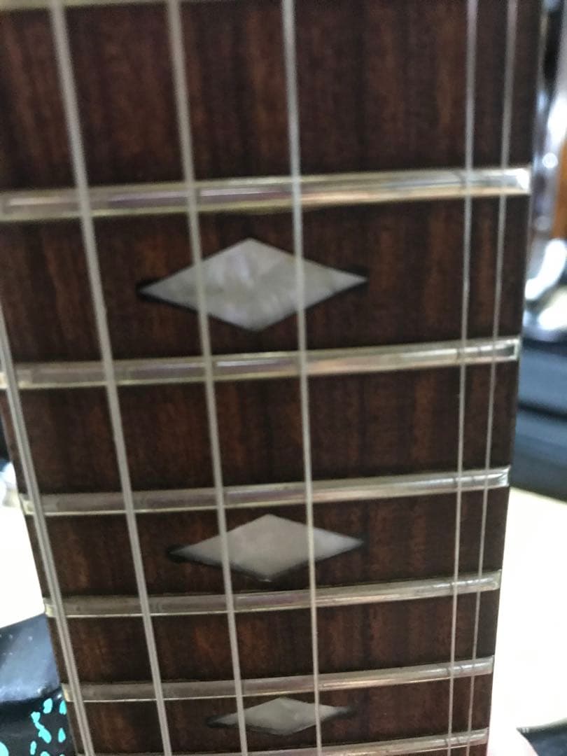 HIDEモデル FERNANDES MG-100X アメーバペイズリーペイント