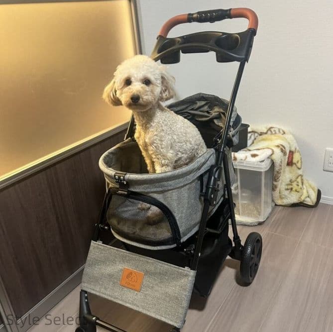 犬介護用ペットカート ブレーキ付 組立簡単耐荷重 15kg 軽量 ワンタッチ開閉
