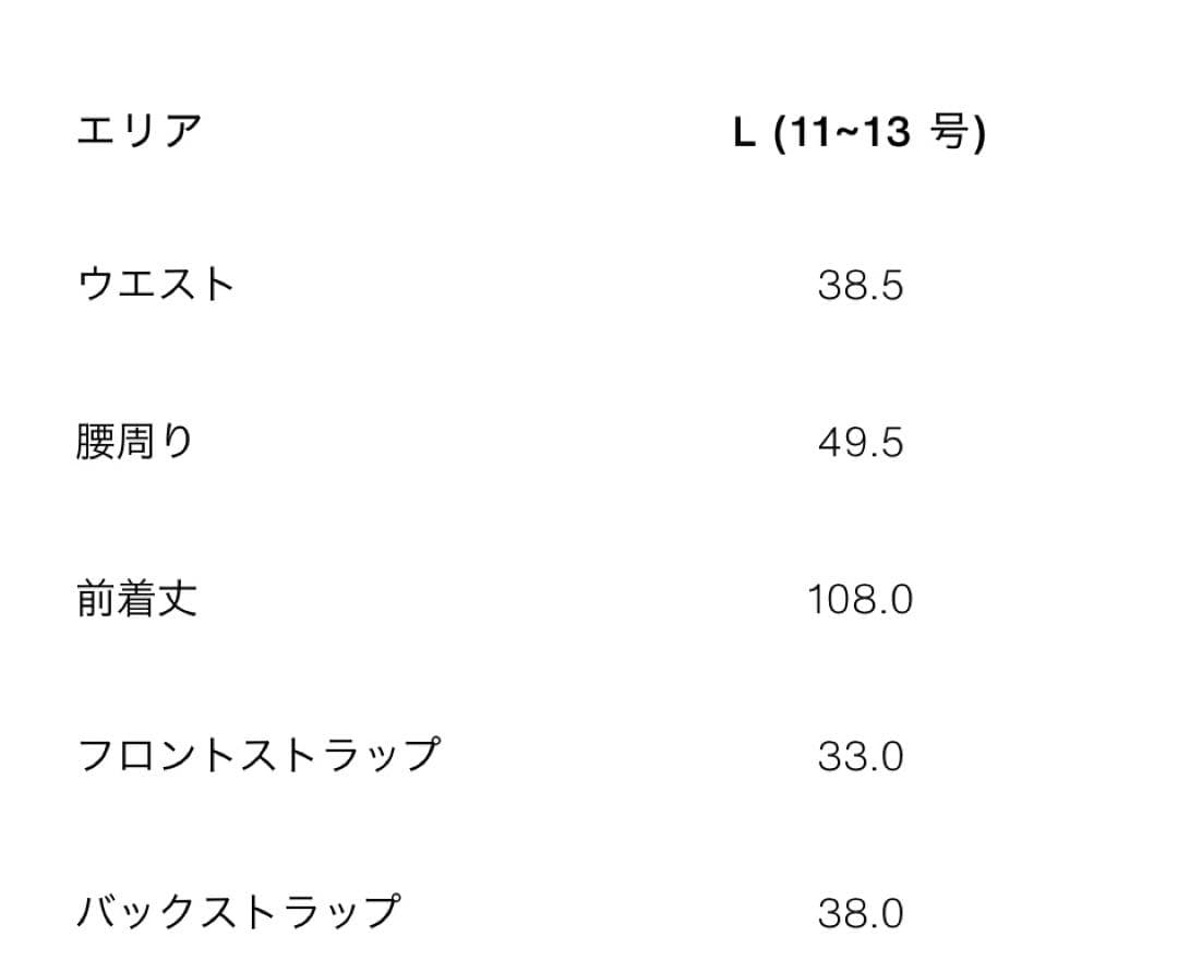 今季新作ZARA RECCOR テクノロジ スキーコレクション スキーウェア上下