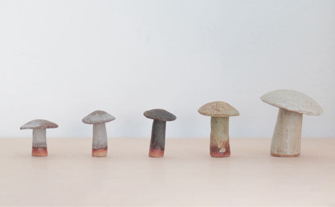 jane muir medium mushroom●mina perhonen