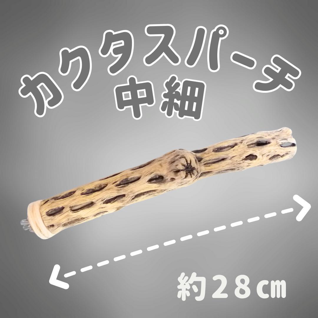 pau　止まり木　カクタス　スケルトン　パーチ　おまとめ２点