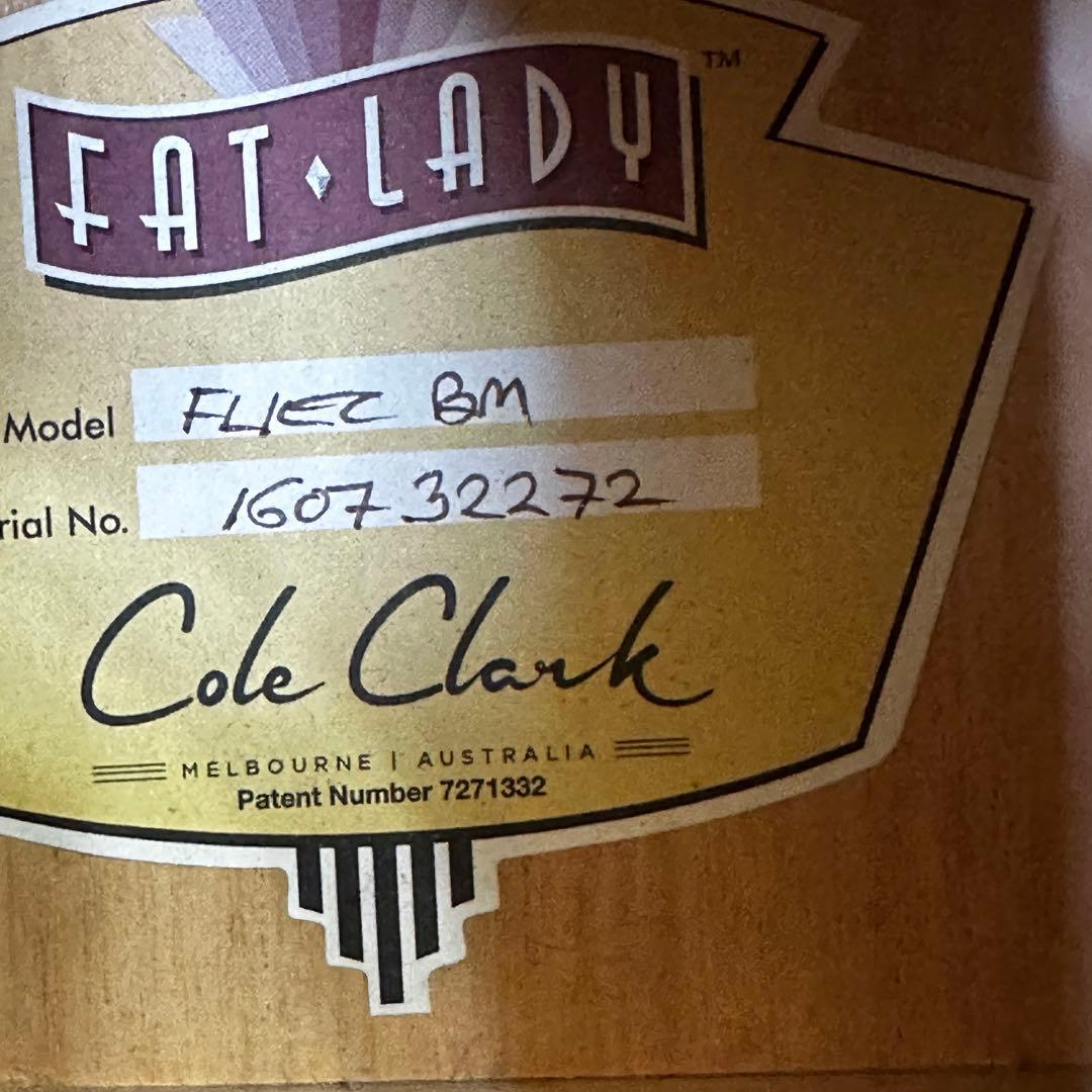 Cole Clarkアコースティックギター ハードケース付き
