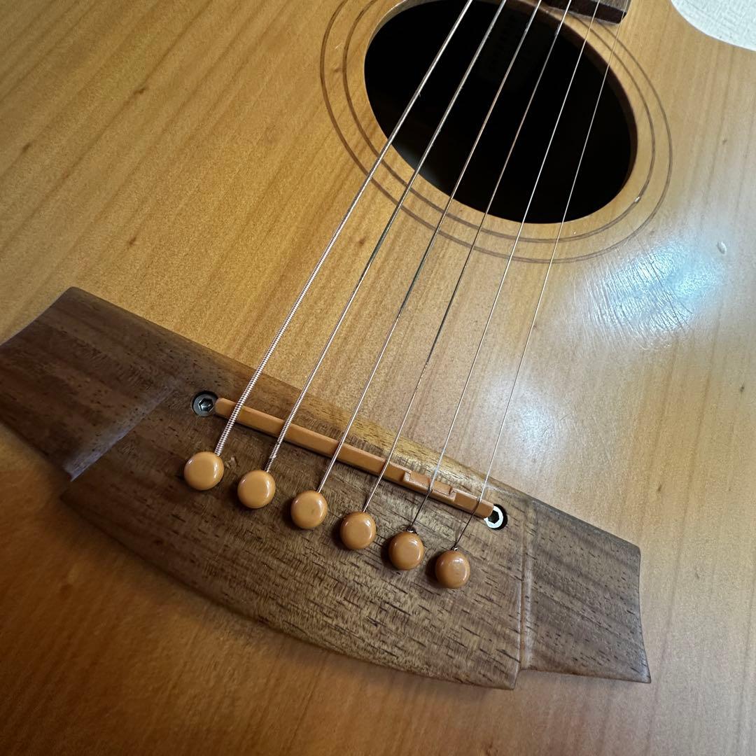 Cole Clarkアコースティックギター ハードケース付き