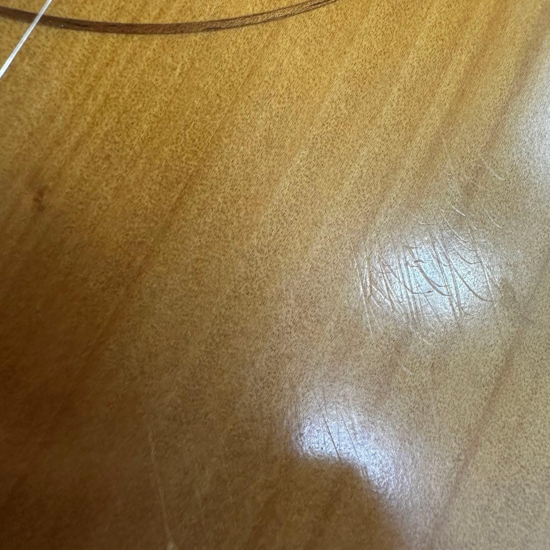 Cole Clarkアコースティックギター ハードケース付き