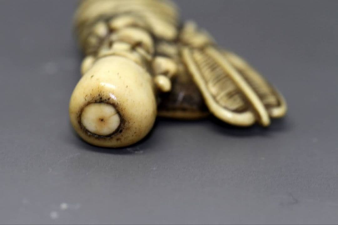 時代物 根付 「寿老人」江戸時代 IS2