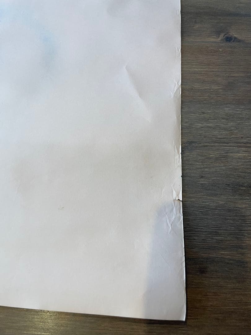 水森亜土 直筆 特大イラスト