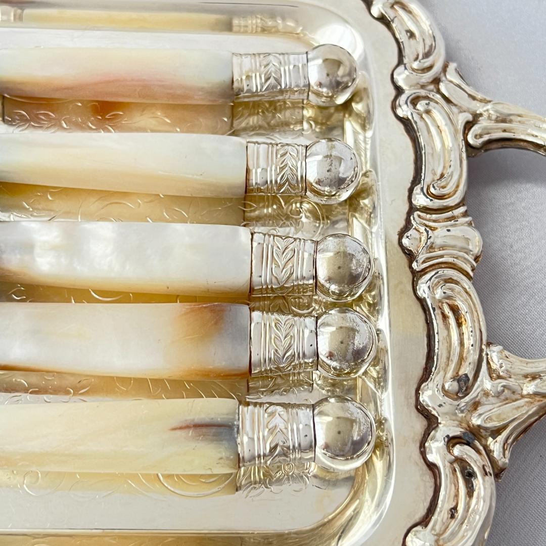 【英国】【白蝶貝】パストリーセット10本 マザーオブパール Victorian