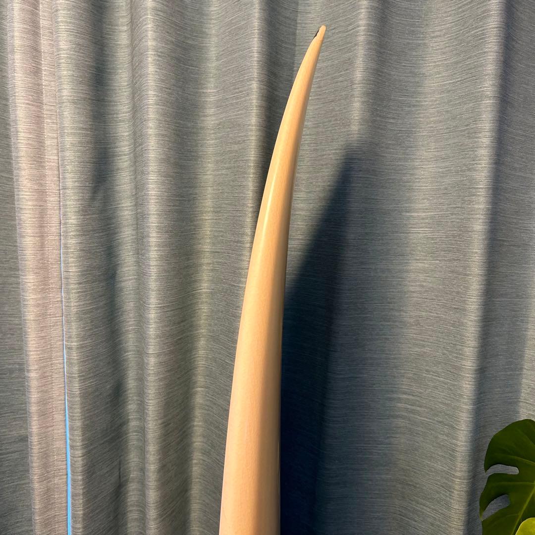 シャープアイ ディスコ EPS ショートボード