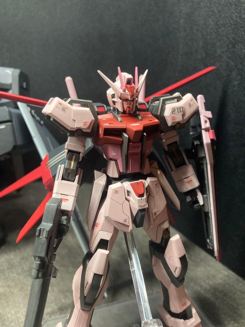 HGズゴック(SEED Ver) キャバリアーアイフリッド