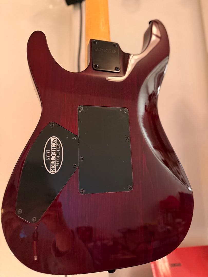 シェクター　エレキギター　ダイアモンドシリーズ　OMEN EXTREME