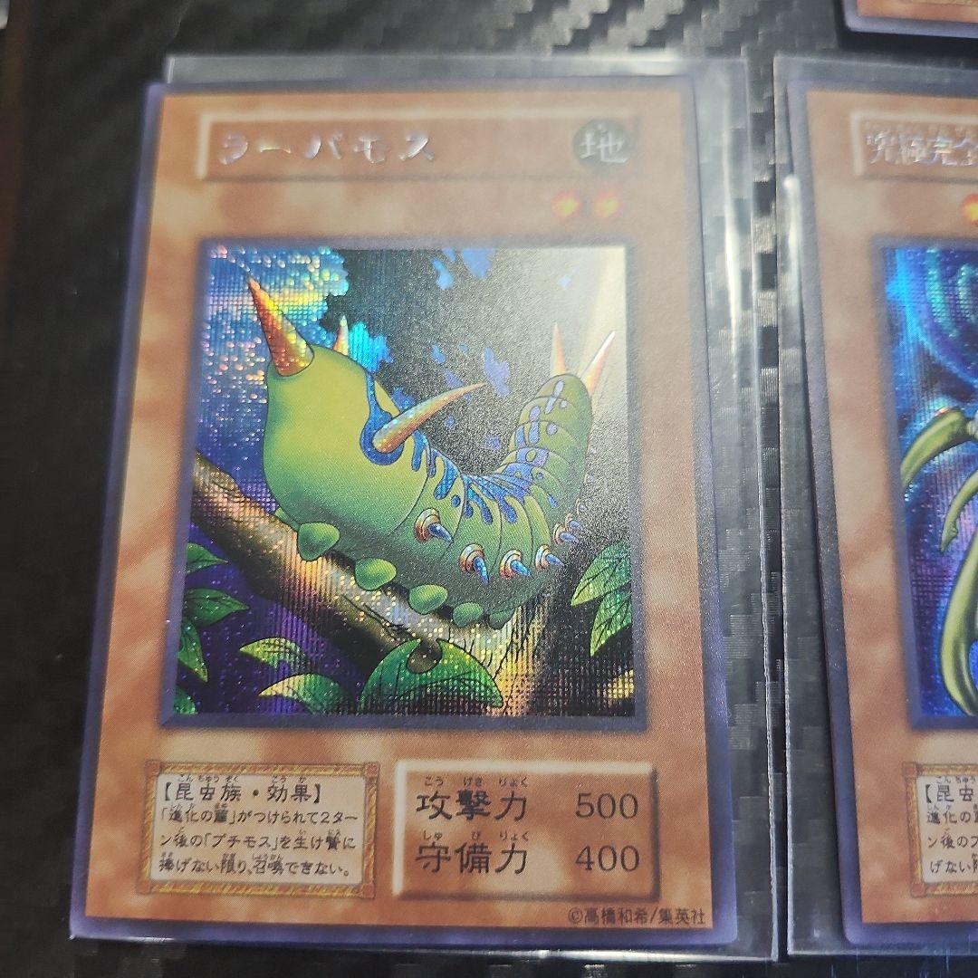 究極完全体グレートモス鑑賞用