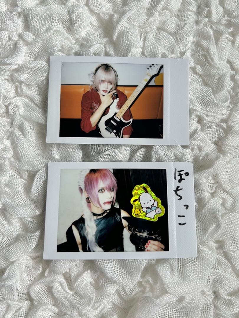 CHAQLA. 鷹乃助 チェキ セット③ 35枚