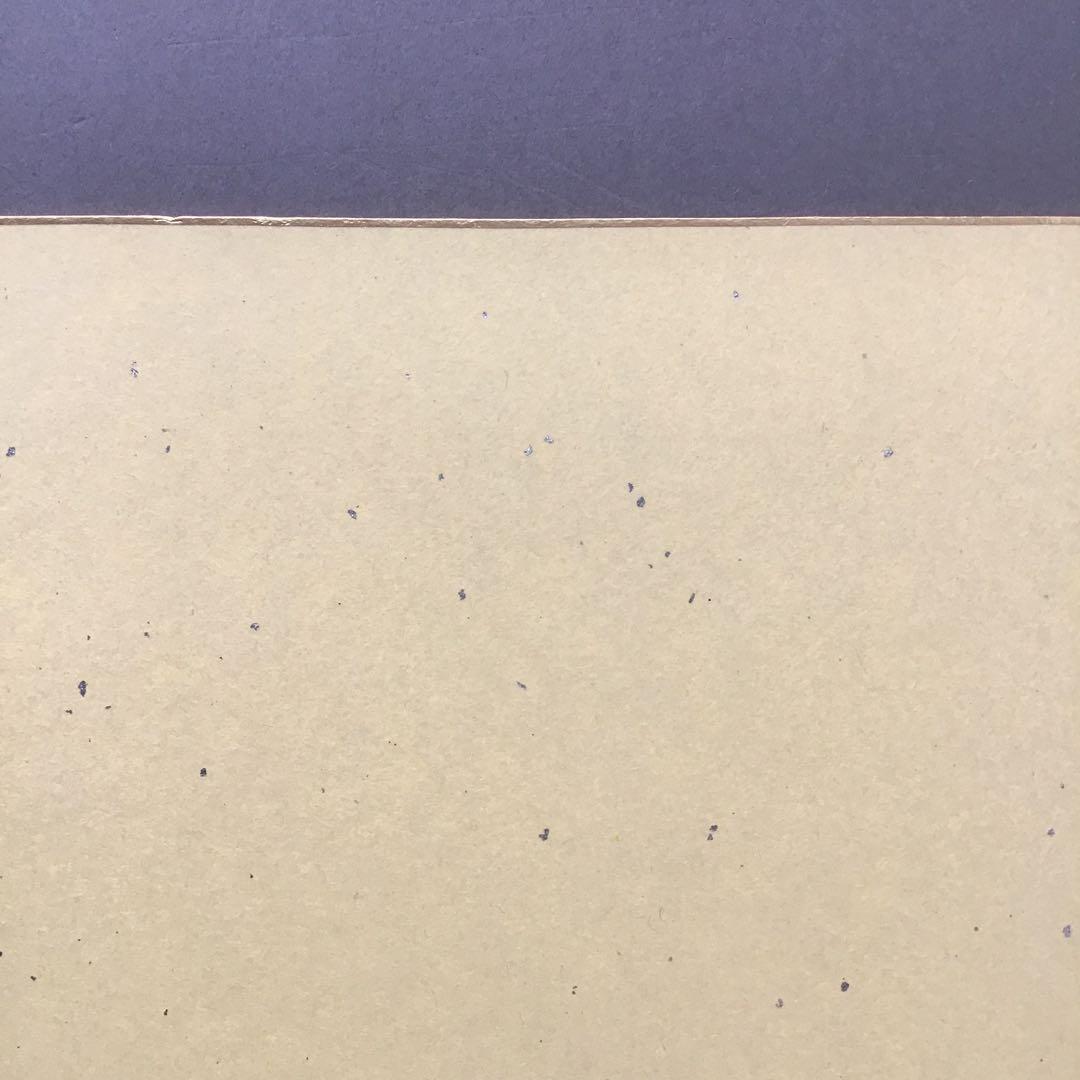 ⭐️色紙　「寿」と山の絵　畳紙　配送用袋　S1032SS