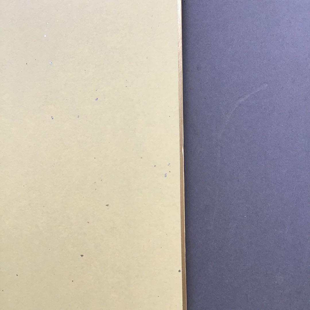 ⭐️色紙　「寿」と山の絵　畳紙　配送用袋　S1032SS