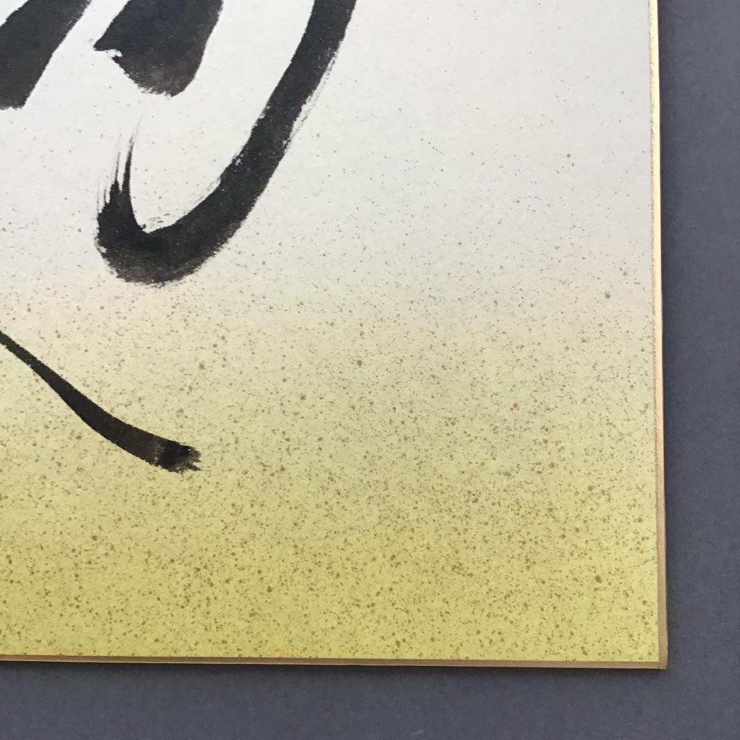 ⭐️色紙　「寿」と山の絵　畳紙　配送用袋　S1032SS