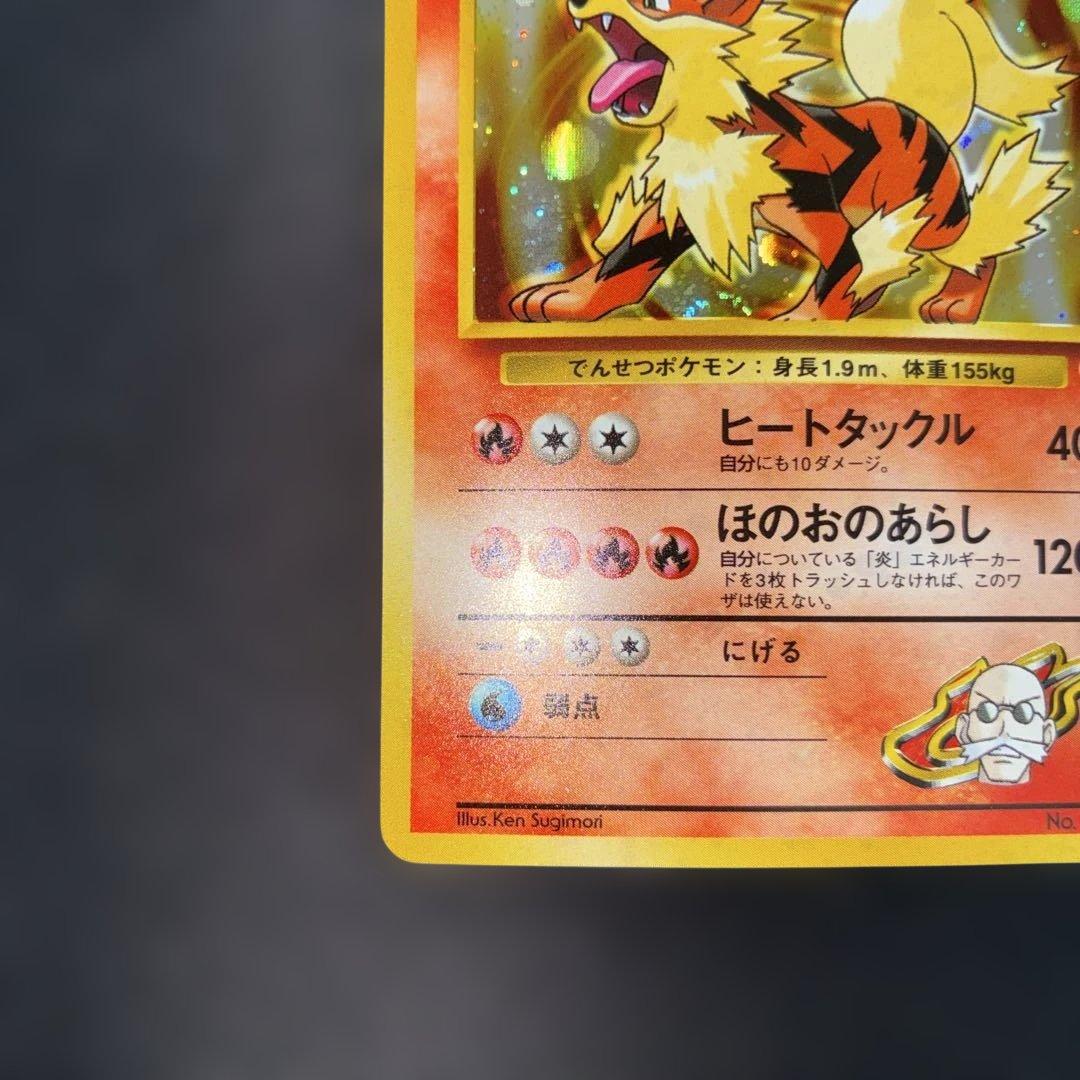 極美品 カツラのウィンディ 旧裏面 キラ