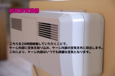 新品未使用｜防音ケージ｜小型犬向け｜キャスター付き｜ヒノキ材｜006