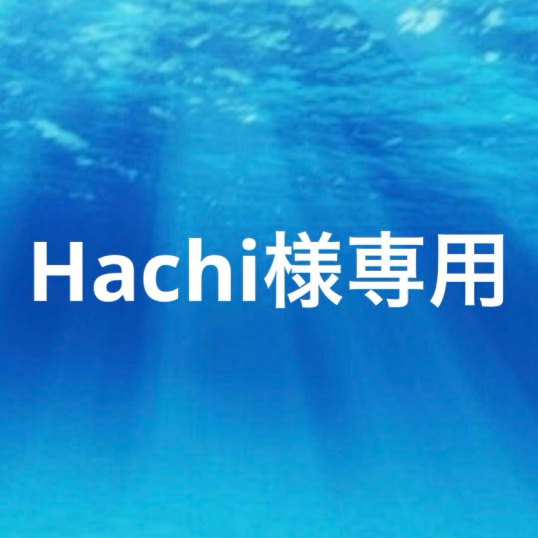 その他 加工食品 Hachi