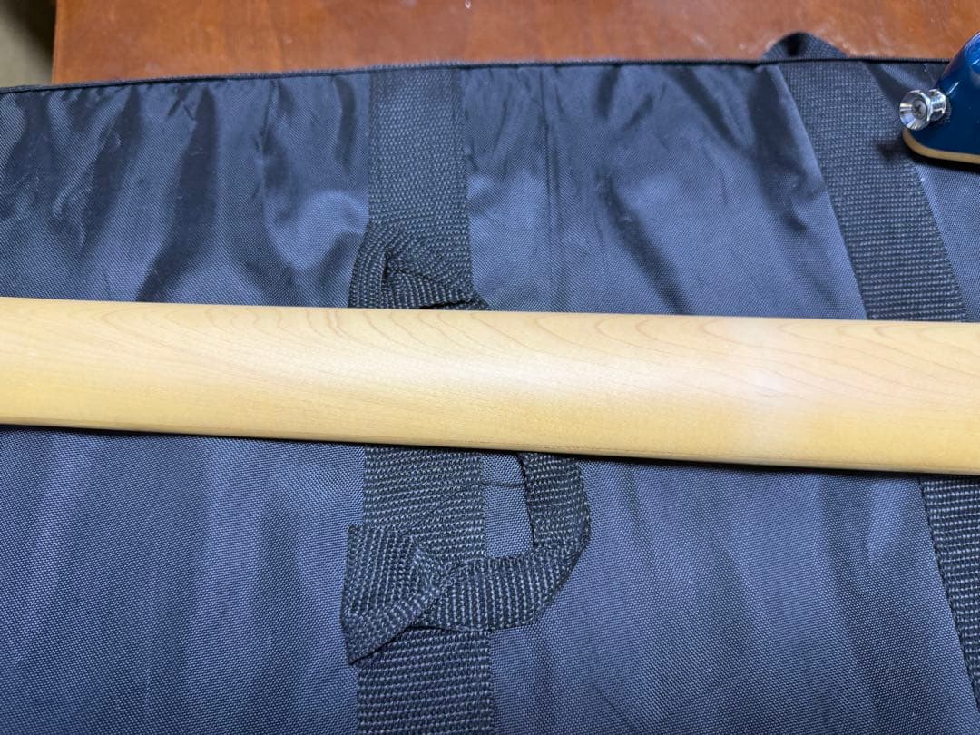 ESP Edwards ギター　snapper