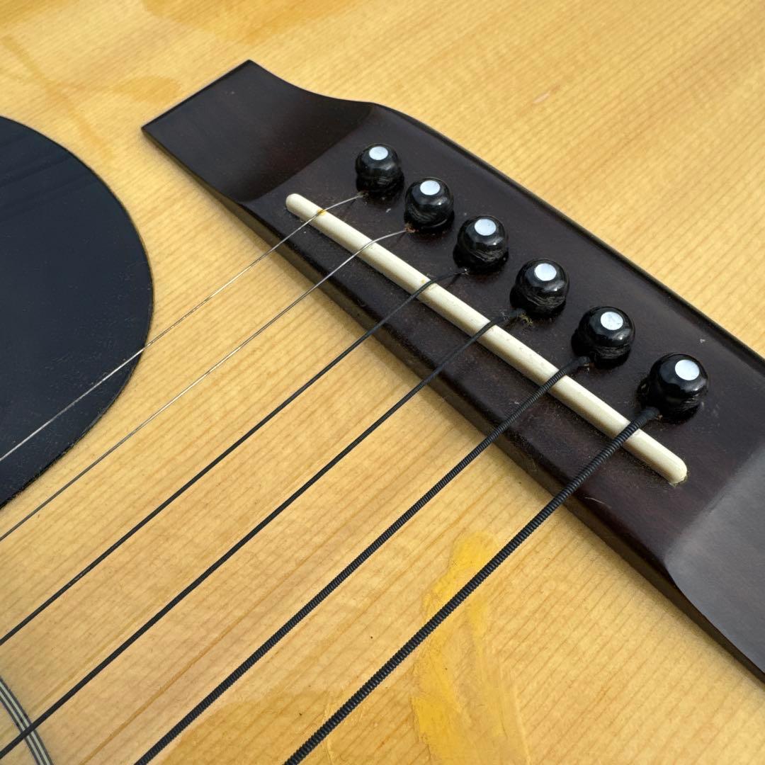 Morris モーリス W-25 アコースティックギター