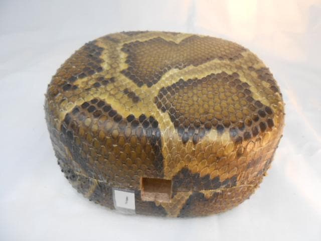 新品未使用H1現品販売(送料無料)16.980円　沖縄三線専用　蛇皮強化チーガ