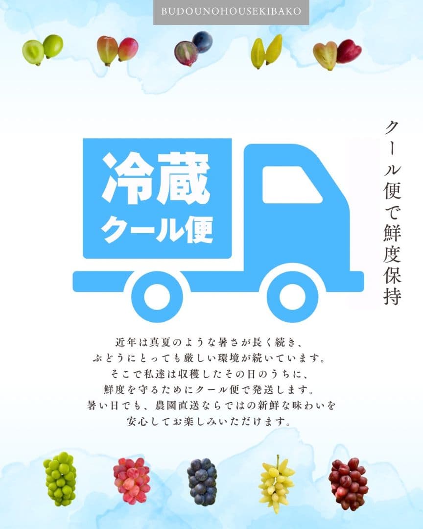 ➀ grape Jewelry box　粒2kg