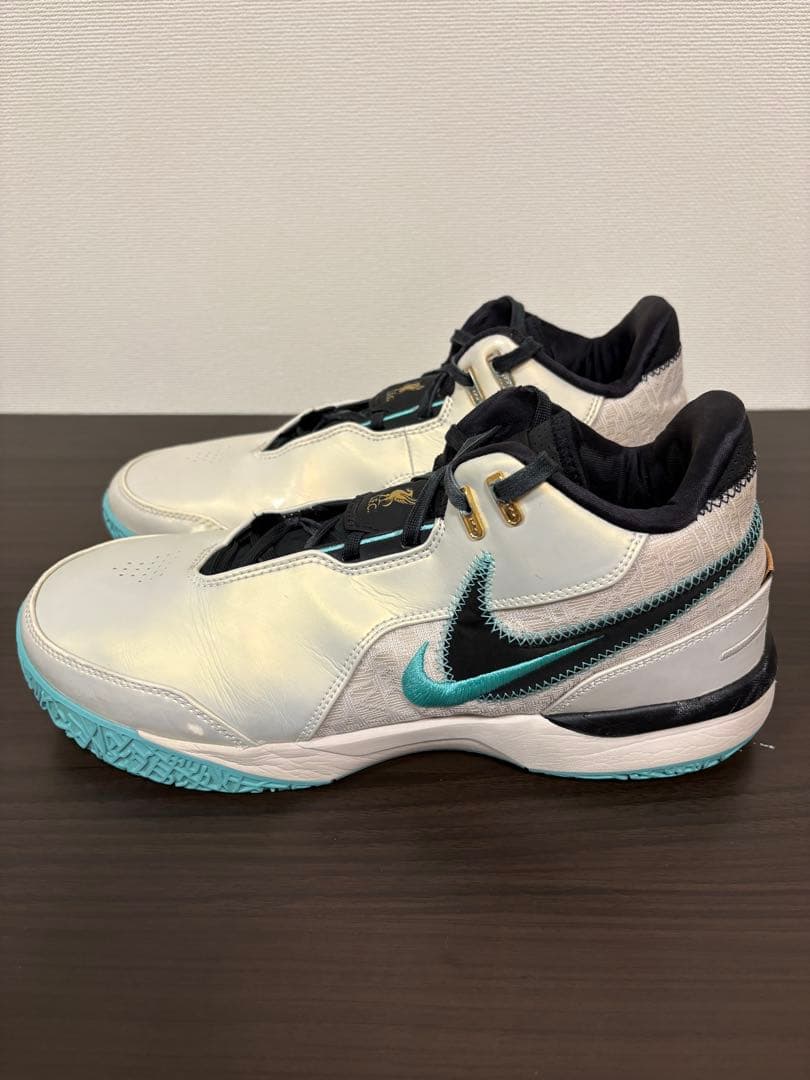 ナイキ レブロン NXXT Gen AMPD EP バスケットボールシューズ