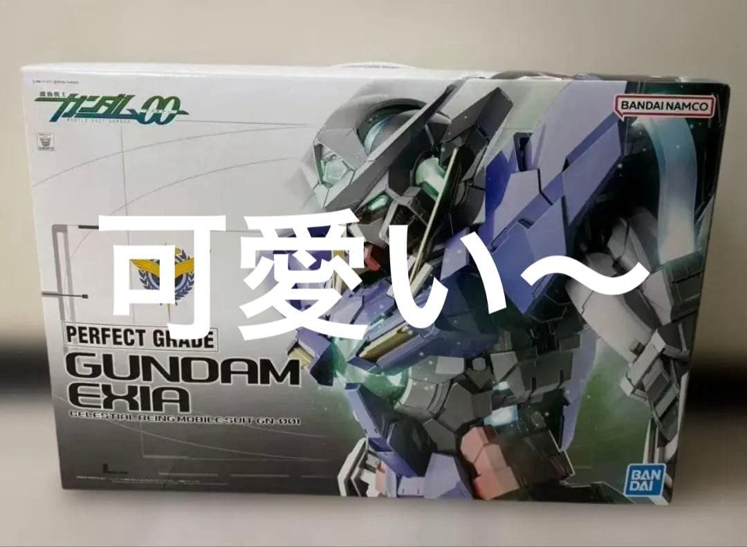 ガンプラ PG 1/60 ガンダムエクシア