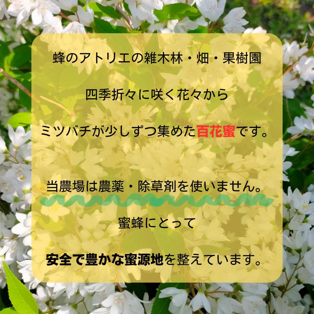 【群違い】ニホンミツバチの国産百花蜜400g×2本　非加熱無添加天然はちみつ