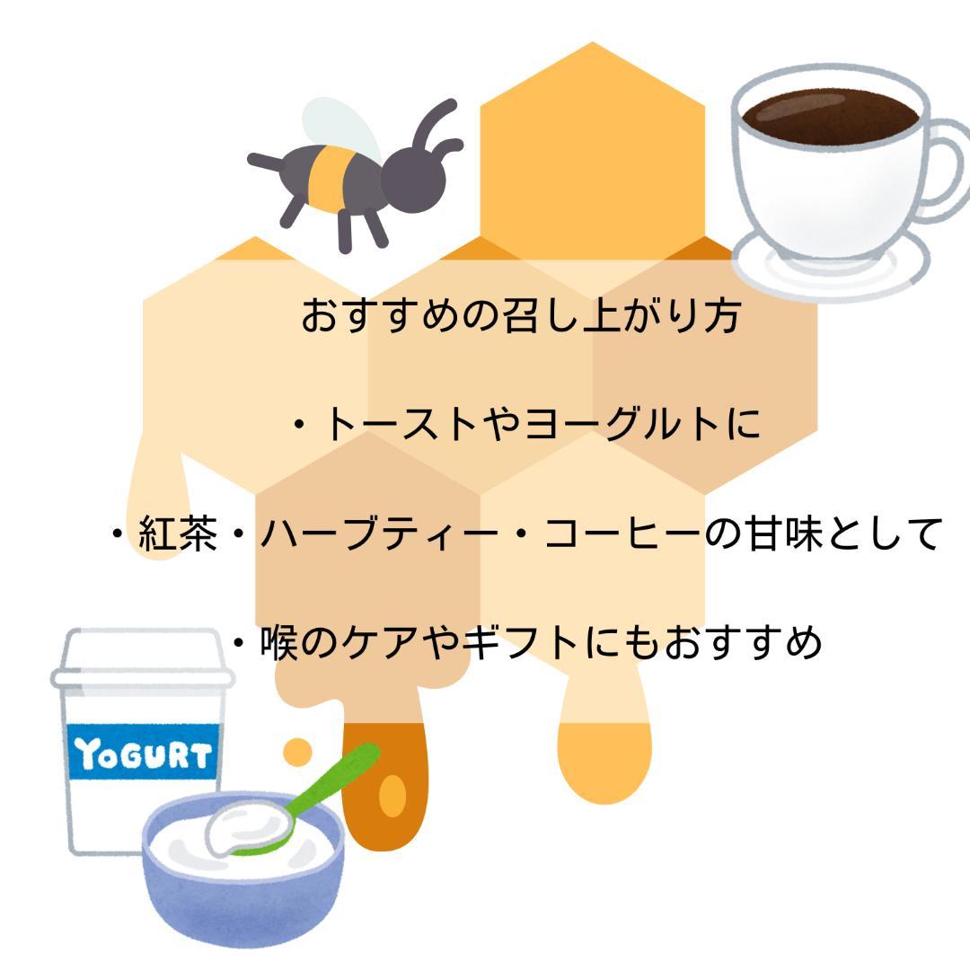 【群違い】ニホンミツバチの国産百花蜜400g×2本　非加熱無添加天然はちみつ