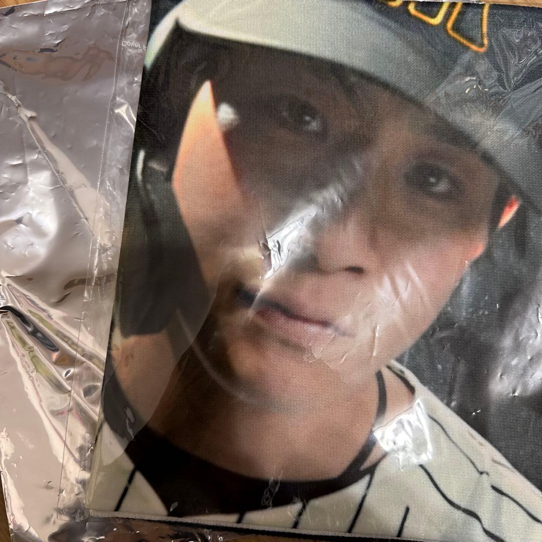 木浪 ビジョンファブリックスローガン ビジョンタオル 阪神タイガース