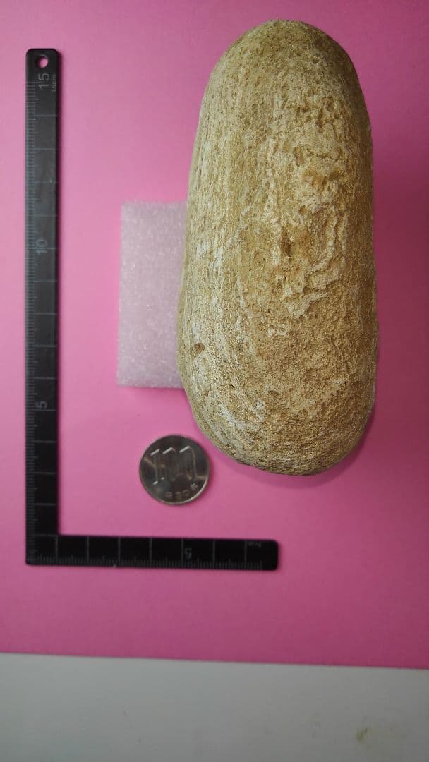 石冠？岩偶？石錘？旧石器時代　(出土品)　約10㎝×7㎝×4㎝　約370gです。