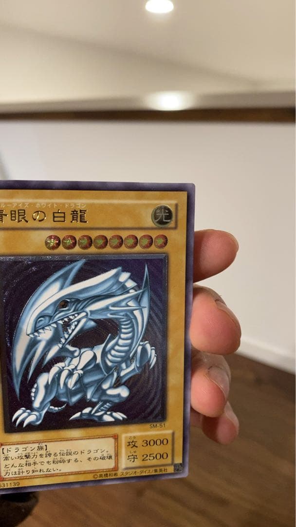 青眼の白龍 レリーフ　美品