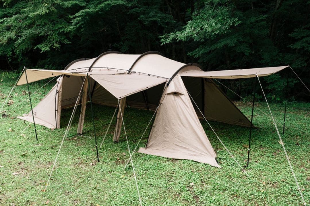 サバティカル　アルニカ　フルセット！