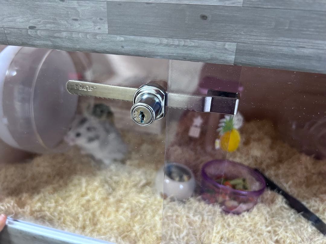 ハムスター レオパ 小動物 木製 ケージ 600×400×300 オーダーメイド