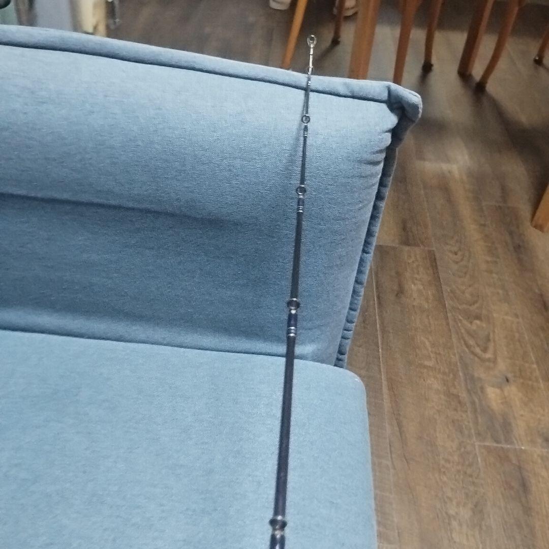 ダイワハートランドZ 浜ヘビーキャロライナスペシャル HL-Z741HRB-T