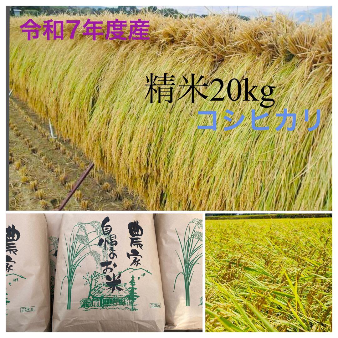 天日干しコシヒカリ信州産