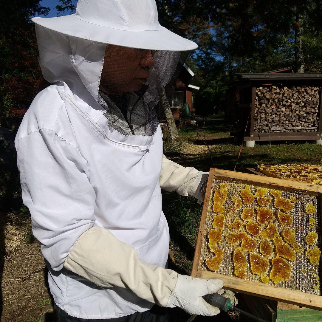 日本蜜蜂天然 ハチミツ 1160g 八ヶ岳西麓1250m