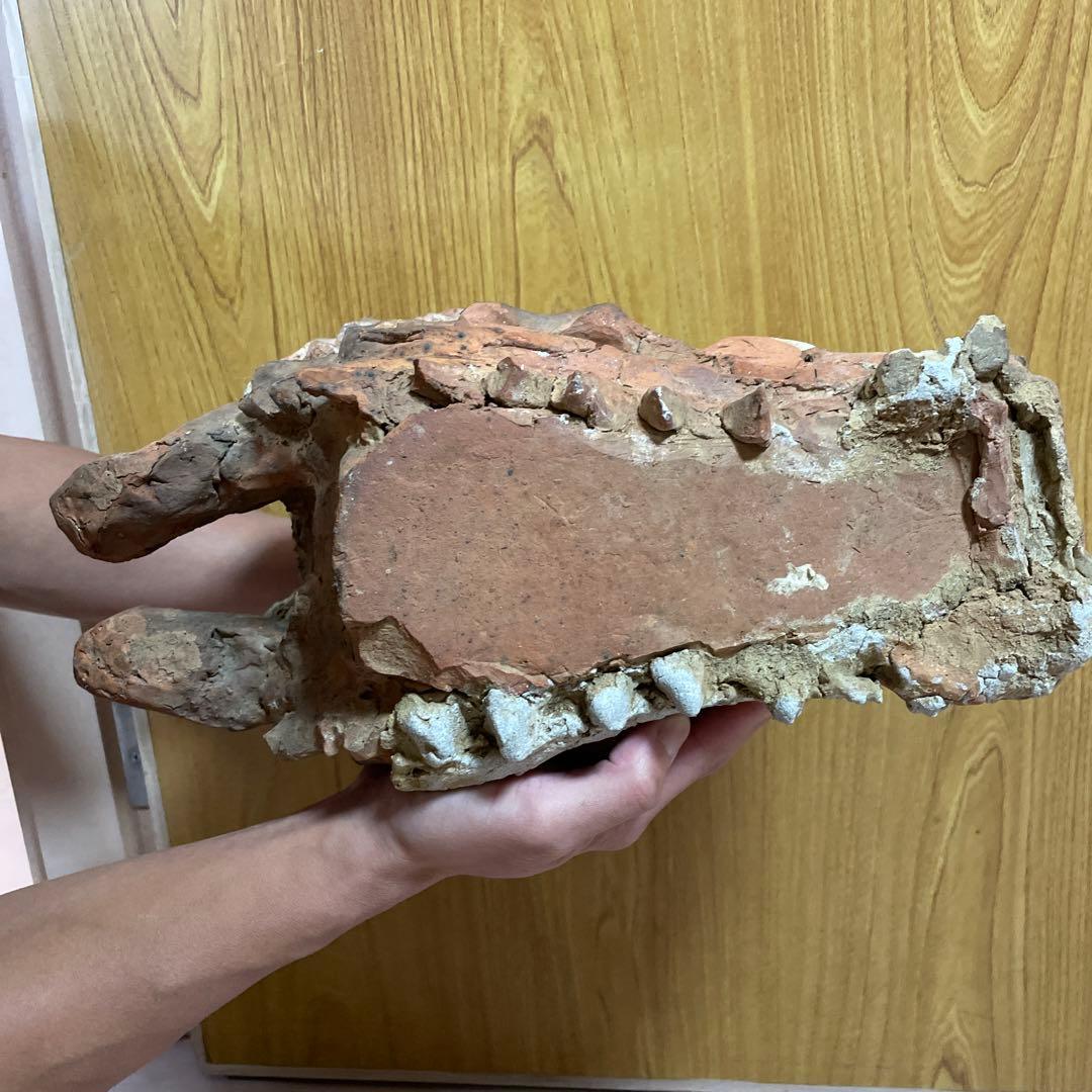 龍頭　中川伊作　知花南蛮焼き