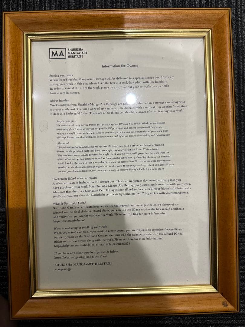 ワンピース　NFT 麦わらの海賊団