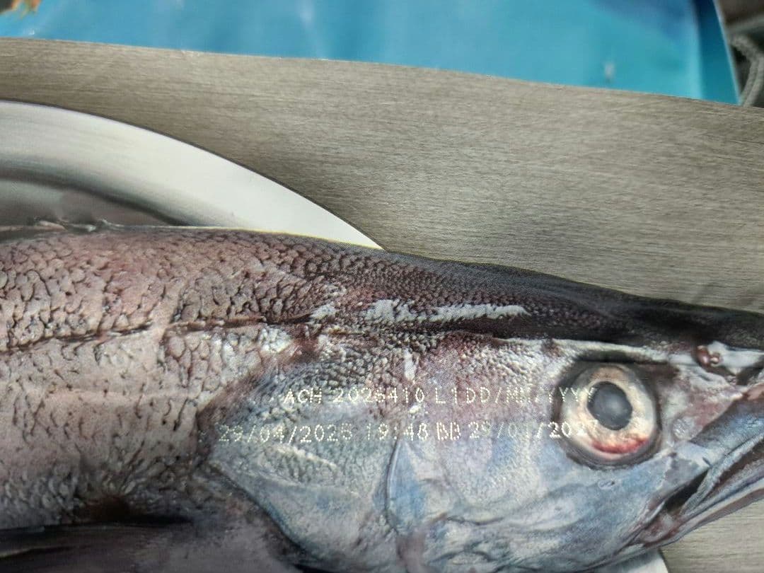 オリジナル ドッグフード 11.4kg