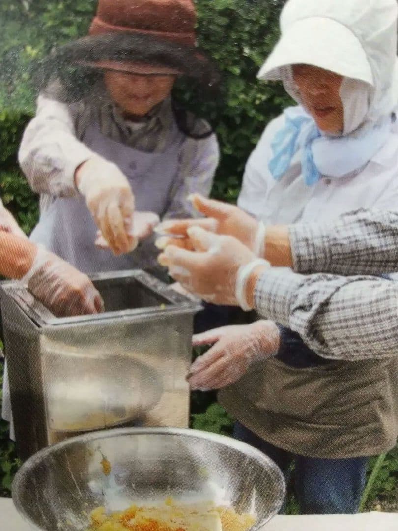 ぷに成ります希少！国産天然日本百花はちみつ鹿児島県南薩摩養蜂園蜂蜜計3kg