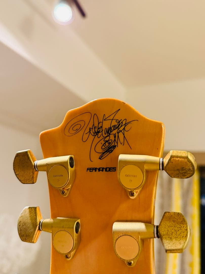 【中古品 メンテ弦交換済】 フェルナンデス MG-120X hide Burny