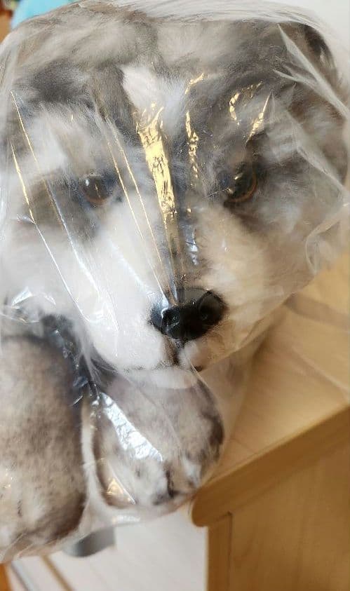 FINAL FANTASY XVI　トルガル　ぬいぐる