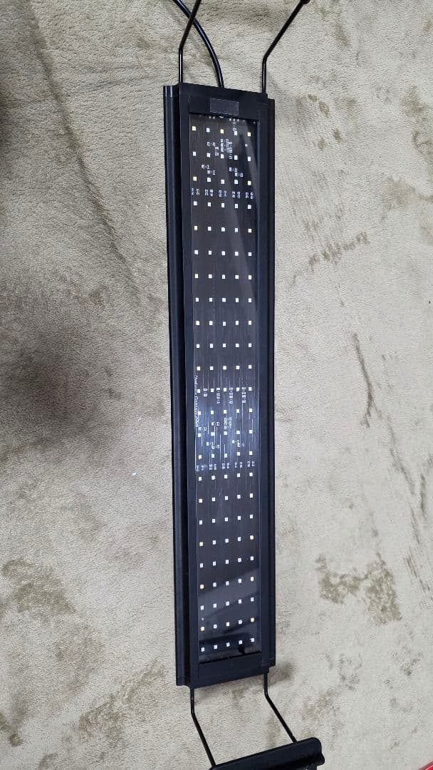 ボルクスジャパン Grassy Legna Marine 60cm