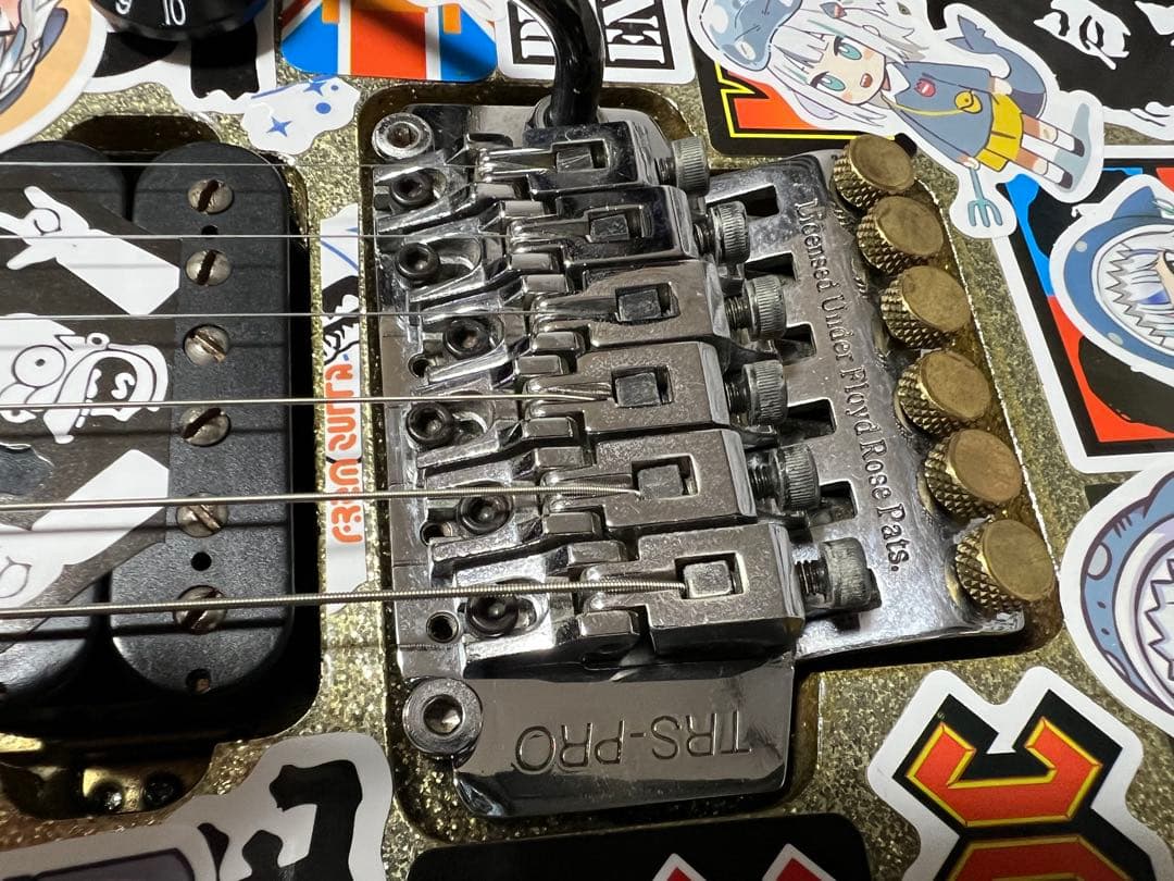 Anboy DN-50M？　スキャロップ指板