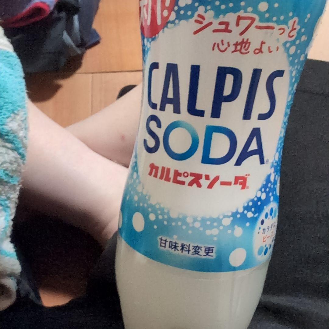 アサヒ飲料 19カルピスソーダPET500