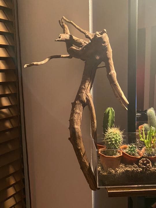 天然物 EVA系 人型 使徒 木製 デザイン インテリア