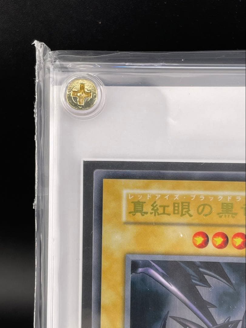 【未開封品】 真紅眼の黒竜　ステンレス　YCSJ 遊戯王デュエルモンスターズ
